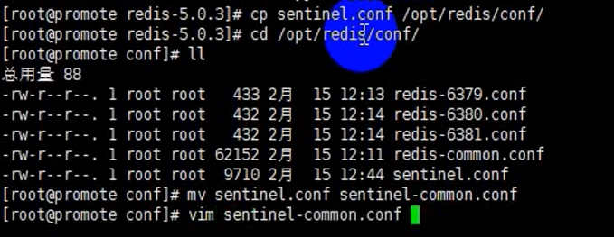 image-20210526113558895
